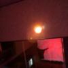 遊楽膳(新宿区/ラブホテル)の写真『305号室 室内の赤い照明』by サトナカ