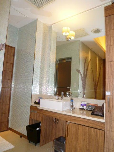 HOTEL AILU(アイル)(豊島区/ラブホテル)の写真『201号室（洗面台。こちらのホテルはどの部屋でも鏡が大きいです）』by 格付屋