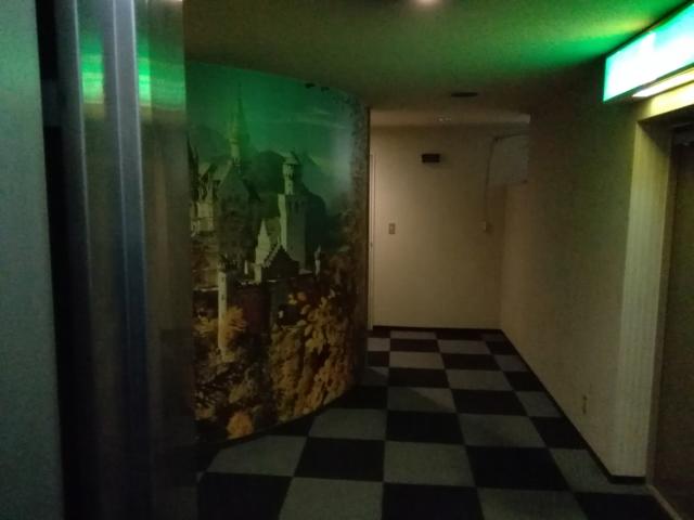 ホテル セイント２(川越市/ラブホテル)の写真『602号室利用。壁は、何故かお城の写真です。』by キジ