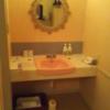 ホテル セイント２(川越市/ラブホテル)の写真『602号室利用。洗面所の写真です。』by キジ