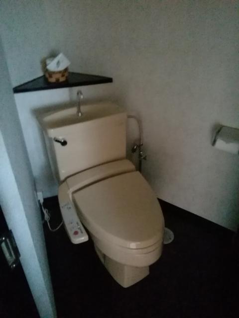 シーラブ大和店(大和市/ラブホテル)の写真『311号室利用。ちょっと古いトイレの写真です。三角形のスペースにあります。』by キジ
