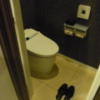 ホテルM(市川市/ラブホテル)の写真『306号室 トイレ』by ホテルレポったー