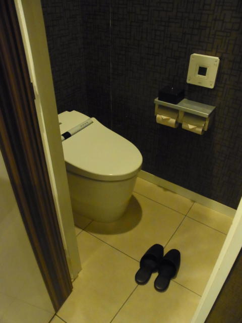 ホテルM(市川市/ラブホテル)の写真『306号室 トイレ』by ホテルレポったー