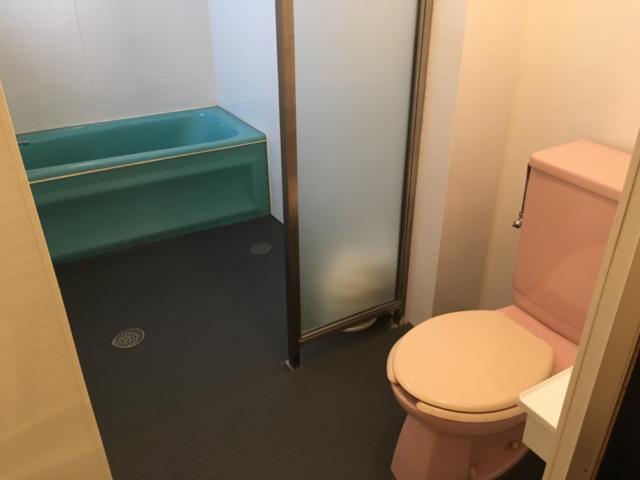 アルファ北松戸(松戸市/ラブホテル)の写真『310号室（風呂とトイレの位置関係）』by mailbox