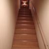 ニュー京浜(横浜市保土ケ谷区/ラブホテル)の写真『54号室利用。階段を上がります。』by キジ
