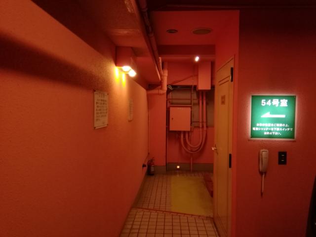 ニュー京浜(横浜市保土ケ谷区/ラブホテル)の写真『54号室利用。駐車場の裏側に入口があります。』by キジ