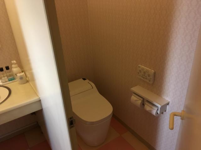 アルファ北松戸(松戸市/ラブホテル)の写真『411号室トイレ』by mailbox