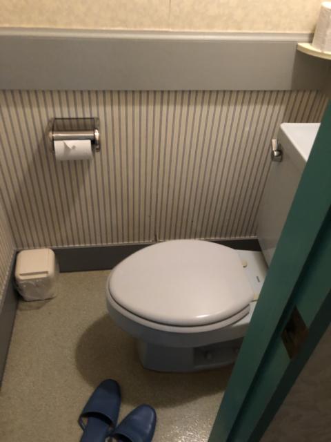 ドルフィン(新宿区/ラブホテル)の写真『306号室 トイレ ウォシュレットない…』by 捕虜エロ