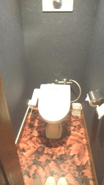 ホテル ハニー(江戸川区/ラブホテル)の写真『201号室のトイレ【温水シャワー付き】』by おこ