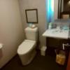 ホテルLALA33(豊島区/ラブホテル)の写真『401　トイレ一体の洗面所』by ゆかるん
