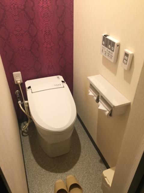 HOTEL RIO（リオ）(新宿区/ラブホテル)の写真『301号室　トイレ』by きーくん