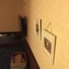 新橋レンタルルームコスモスⅣ号店(港区/ラブホテル)の写真『8号室 壁』by ちげ