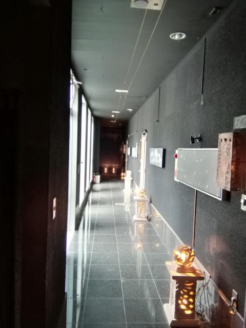 ホテルエックス　天空の風(小田原市/ラブホテル)の写真『207号室利用。廊下です。スタイリッシュなのに、ゴテゴテさせ過ぎですね。』by キジ