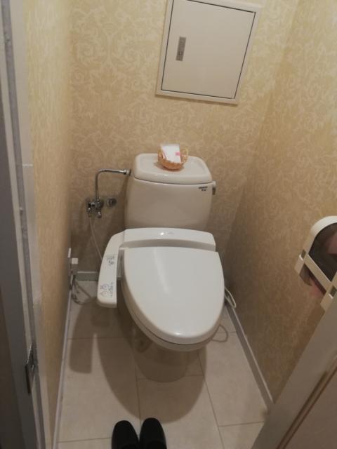 HOTEL Fran（フラン）(船橋市/ラブホテル)の写真『201号室　トイレ』by ところてんえもん