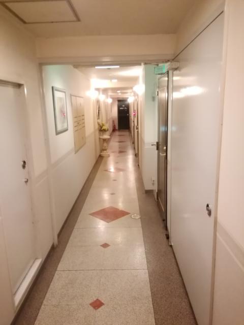 ホテル デュオ(大田区/ラブホテル)の写真『203号室利用。二階の廊下です。』by キジ