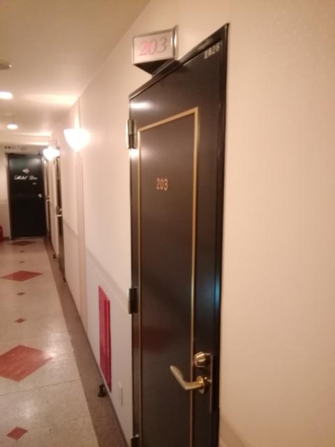 ホテル デュオ(大田区/ラブホテル)の写真『203号室利用。部屋の入口です。』by キジ