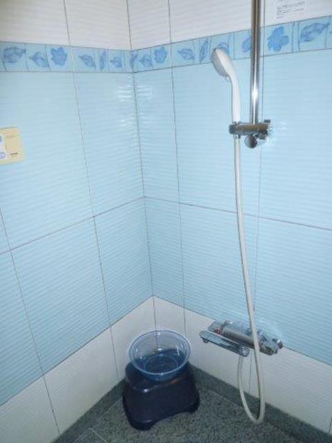 HOTEL GRAY(グレイ)(新宿区/ラブホテル)の写真『103号室（シャワー部分。スライド固定式。ヘッドは横向き）』by 格付屋