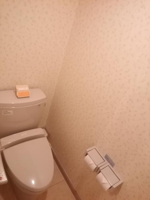 HOTEL FUGA（フーガ）(小田原市/ラブホテル)の写真『306号室利用。シンプルかつ、ちょいと古そうなトイレ。』by キジ