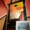 愛花夢(アイカム)(小田原市/ラブホテル)の写真『205号室利用なので、階段を2階に上がります。』by キジ