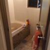 サンマリン(新宿区/ラブホテル)の写真『703号室 浴室(バスタオルとフェイスタオルは手すりにかけてありました)』by 舐めたろう