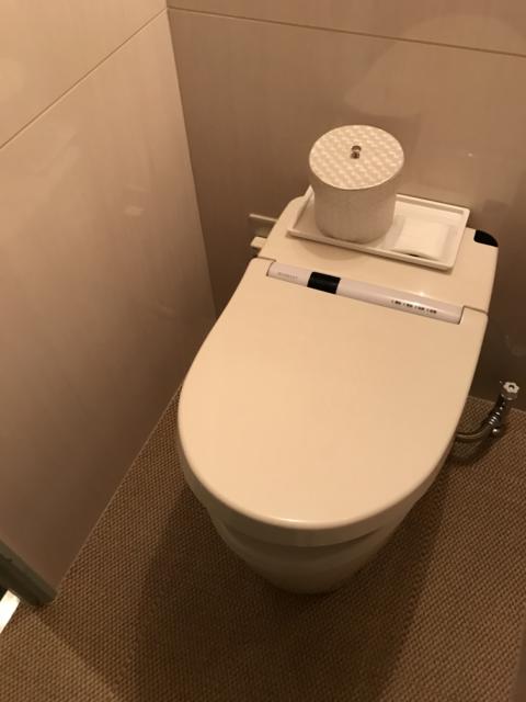 ラピア(新宿区/ラブホテル)の写真『206号室のトイレ②』by 少佐