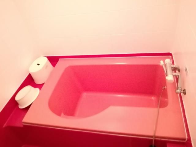 愛花夢(アイカム)(小田原市/ラブホテル)の写真『205号室利用。浴槽です。ジャグジーもTVもありません。』by キジ