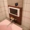 レステイ ティナグレイス(秦野市/ラブホテル)の写真『303号室利用。浴室TVと、2羽のアヒルちゃん。』by キジ