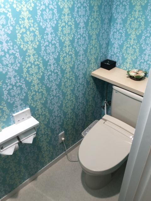 ホテルフェアリーシックス(宇都宮市/ラブホテル)の写真『301号室、トイレ』by かとう茨城47