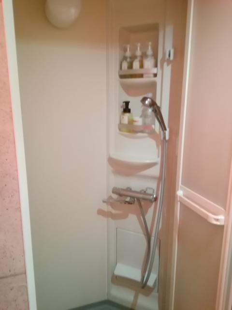 レンタルルーム　PRIME10room（プライムテンルーム）(新宿区/ラブホテル)の写真『3号室利用。シャワーです。』by キジ