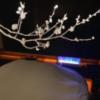 宿屋 湯島御苑(文京区/ラブホテル)の写真『207号室 ベッド 壁の絵はライトになっています』by ネコシ