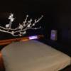 宿屋 湯島御苑(文京区/ラブホテル)の写真『207号室 ベッド 部屋全体のライティングは枕元のスイッチで変えられます』by ネコシ