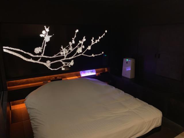 宿屋 湯島御苑(文京区/ラブホテル)の写真『207号室 ベッド 部屋全体のライティングは枕元のスイッチで変えられます』by ネコシ