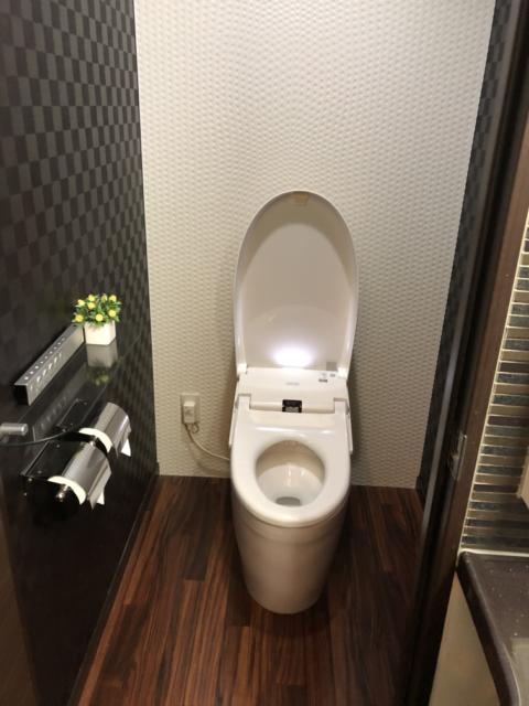 HOTEL アスタプロント(浜松市/ラブホテル)の写真『203号室トイレ』by 一刀流
