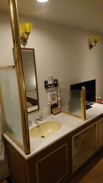 HOTEL R&N（レストアンドネスト）(蕨市/ラブホテル)の写真『405号室 洗面台』by なつやま