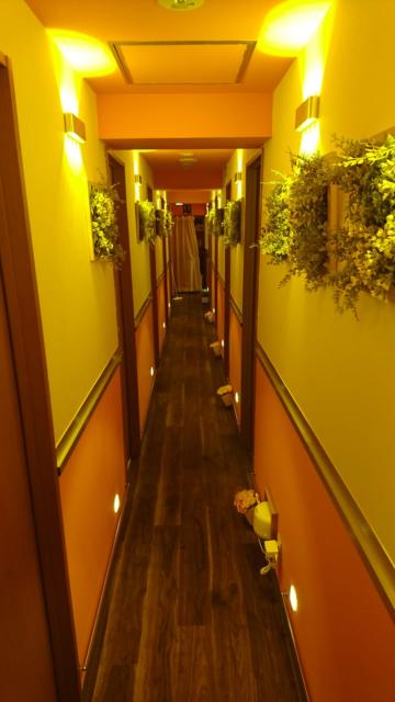 レンタルルーム bloom(ブルーム)(新宿区/ラブホテル)の写真『廊下』by チョロ