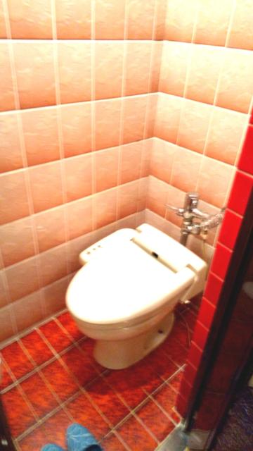ホテルエーゲ海(荒川区/ラブホテル)の写真『302号室のトイレ』by おこ