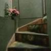 TOKI（とき）(大田区/ラブホテル)の写真『6号室利用。階段と踊り場❗恐ろしい暗さと絨毯の傷み具合❗おどろおどろしいです。』by キジ
