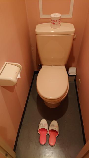 ホテル ルージュ(豊島区/ラブホテル)の写真『205号室 トイレ(温便座くらいはほしいところ)』by 舐めたろう