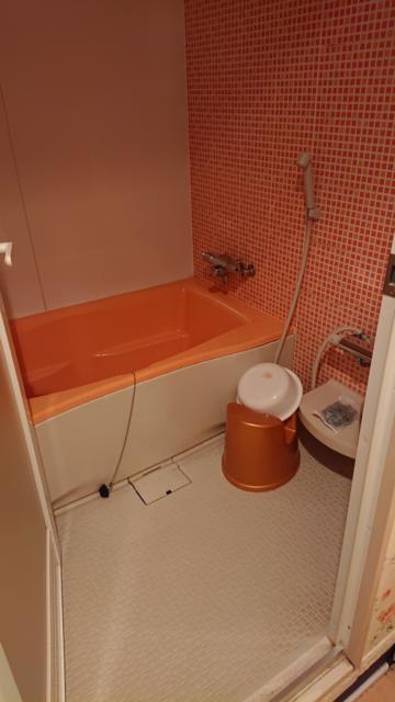 ホテル ルージュ(豊島区/ラブホテル)の写真『205号室 バスルーム1(凹椅子あり。使う人はいるのか(笑))』by 舐めたろう