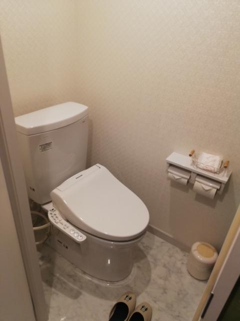 ルミネンホテル蒲田(大田区/ラブホテル)の写真『503号室　トイレ』by ところてんえもん