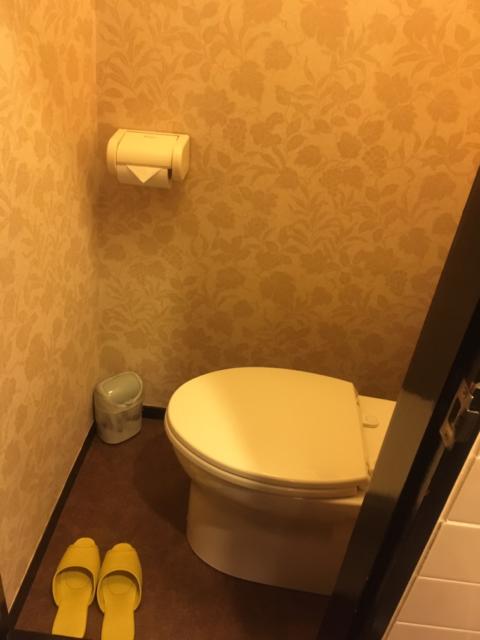 キャメルイン(立川市/ラブホテル)の写真『112号室　トイレ』by 都まんじゅう