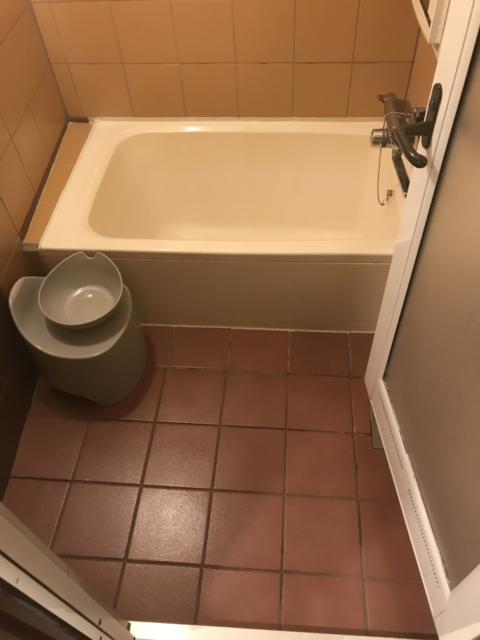 フェアリーウィンク(横浜市中区/ラブホテル)の写真『（201号室）浴槽は2人で入るには狭目だと思います。』by こーめー