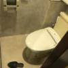 フェアリーウィンク(横浜市中区/ラブホテル)の写真『（201号室）トイレ。清潔感ありますね。』by こーめー