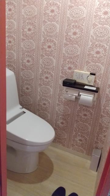 ホテル ブルゾン(台東区/ラブホテル)の写真『303号室：トイレ(ウォッシュレット。意外と小綺麗)』by オレの地雷を越えてゆけ！
