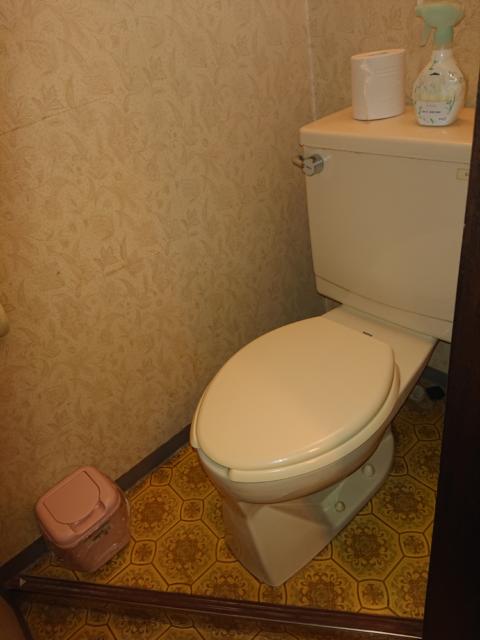 サザンクロス(新宿区/ラブホテル)の写真『301号室、トイレ』by 爽やかエロリーマン
