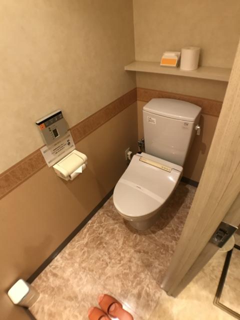 ホテル101(浜松市/ラブホテル)の写真『01号室 トイレ』by ま〜も〜る〜