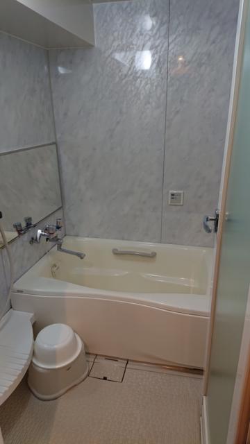 HOTEL府中(府中市/ラブホテル)の写真『206号室 浴室(なかなかの広さで、バブル発生装置付き。バブルバスの元もありました)』by 舐めたろう