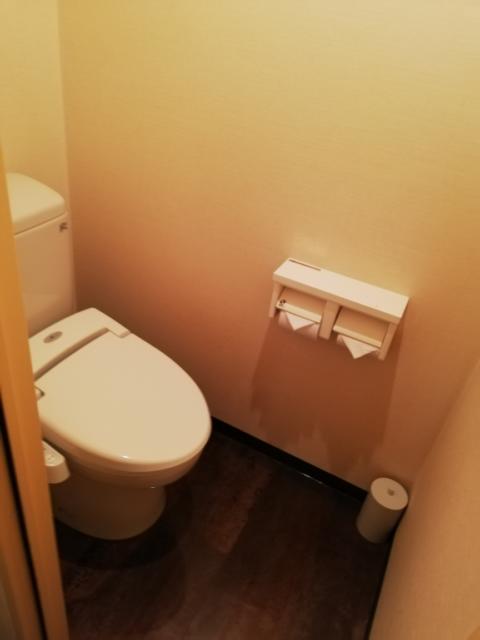 ヒルズホテル五反田(品川区/ラブホテル)の写真『306号室　トイレ』by ところてんえもん