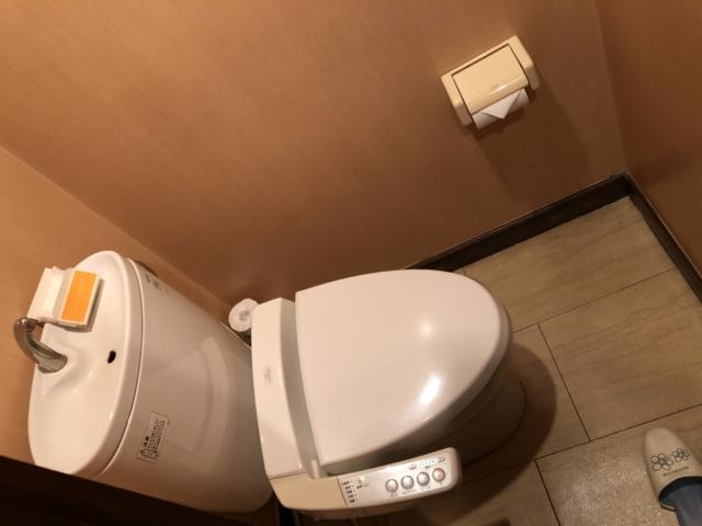 ホテル アテネ(柏市/ラブホテル)の写真『413号室 トイレ』by サトナカ
