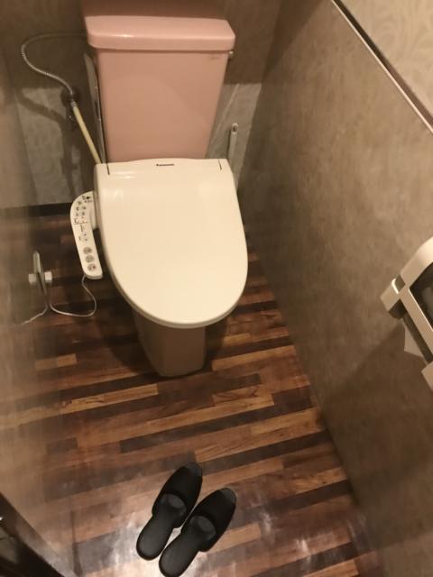 フェアリーウィンク(横浜市中区/ラブホテル)の写真『（204号室）トイレ。』by こーめー